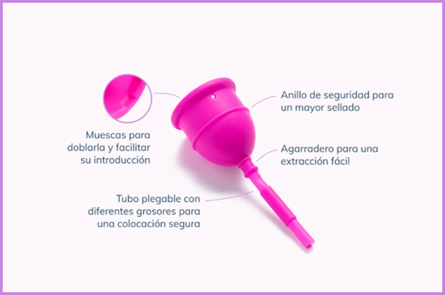 Características Copa Menstrual Eureka Cup